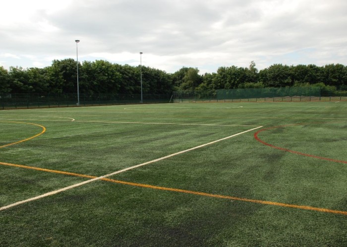 11. Field (Sports)