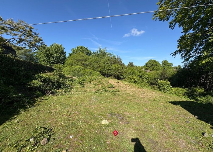 20. Garden (Rear, Large)