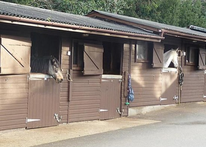 6. Stables