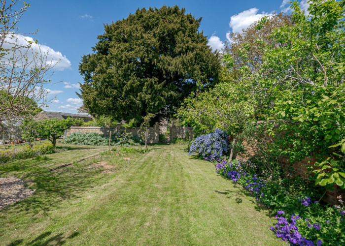 29. Garden (Rear, Large)