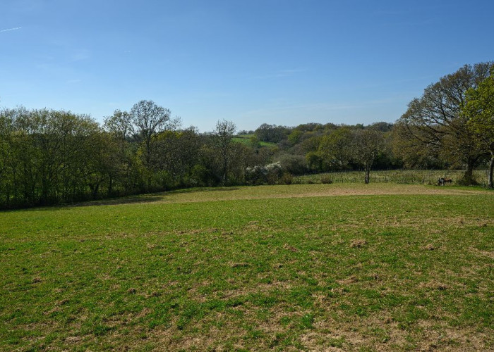 27. Fields, Garden (Rear, Large)