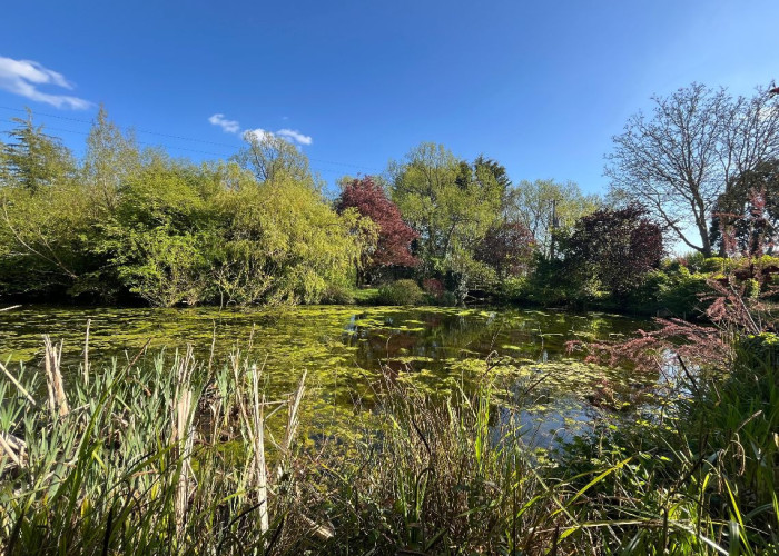 36. Lake / Pond
