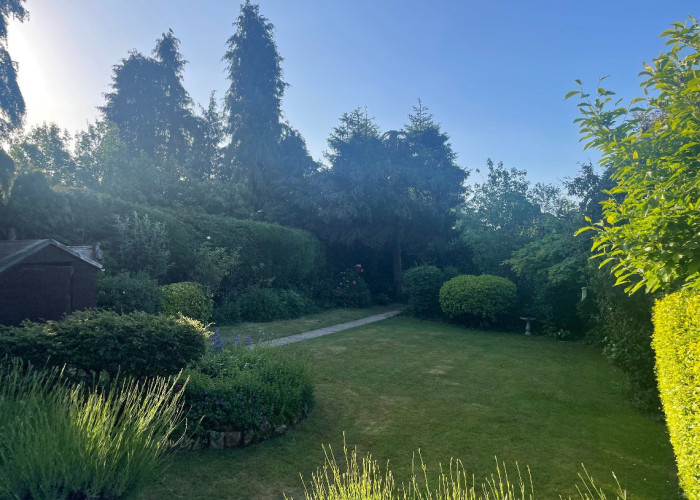 40. Garden (Rear, Large)