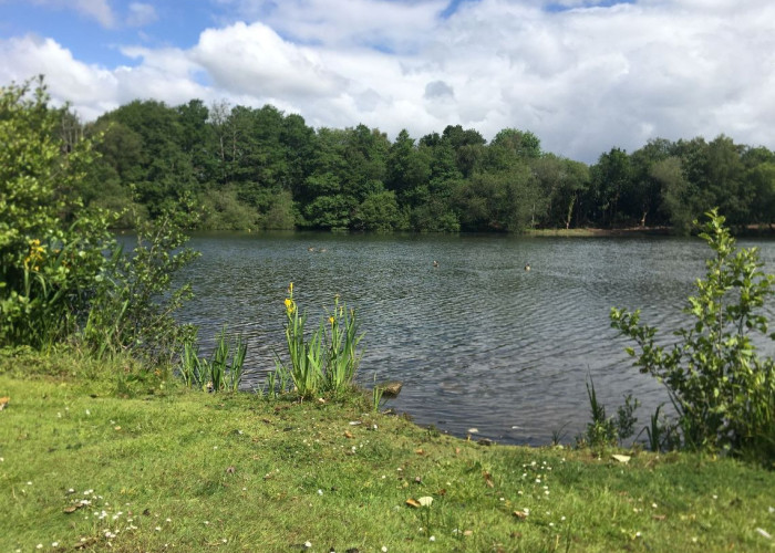 14. Lake / Pond