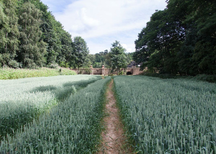 9. Fields