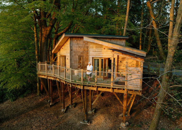 Multiple Treehouses For Filming