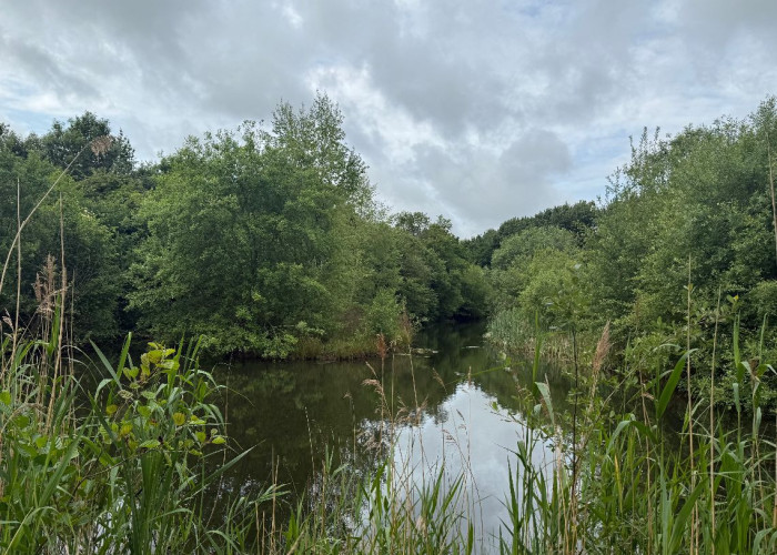 19. Lake / Pond