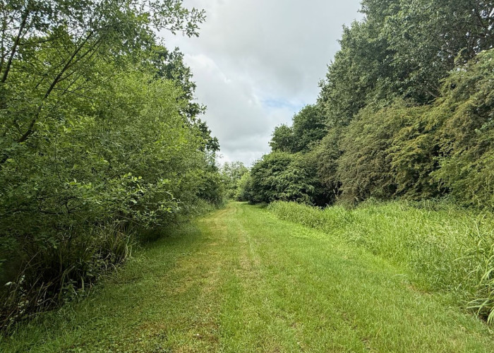 20. Fields