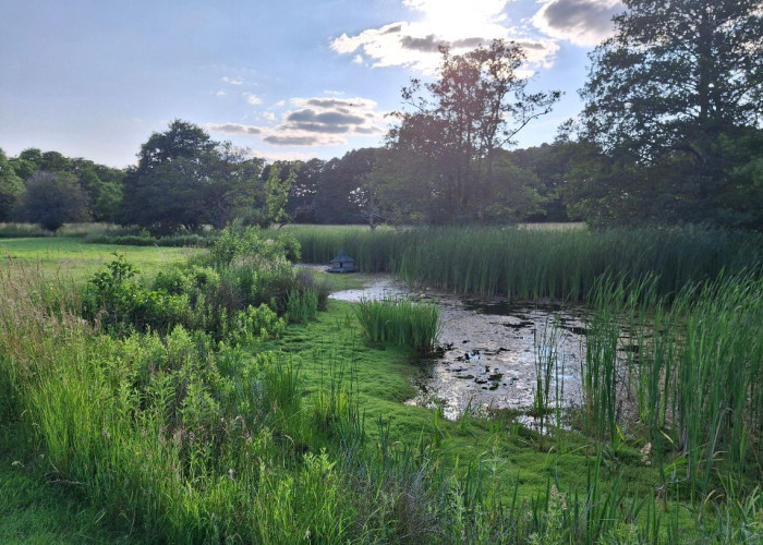 38. Lake / Pond
