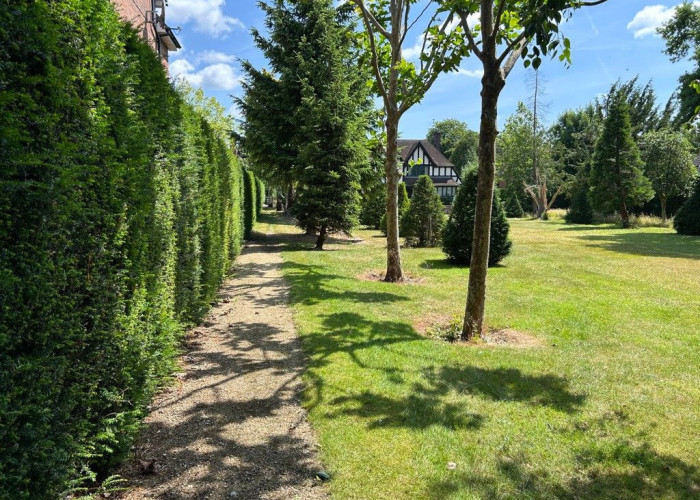 37. Garden (Rear, Large)
