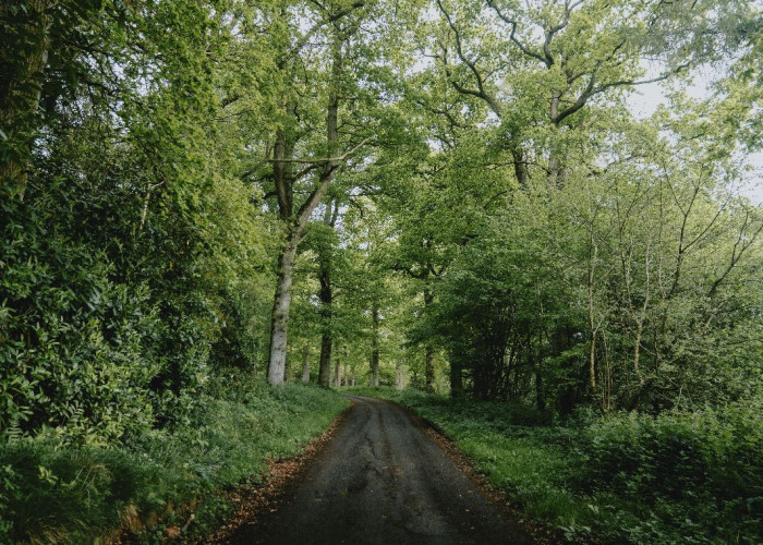 61. 