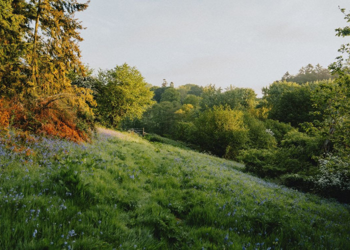65. 