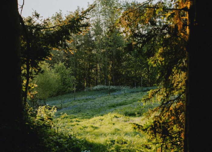 67. 