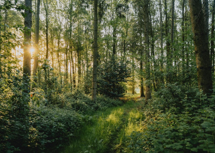 68. 