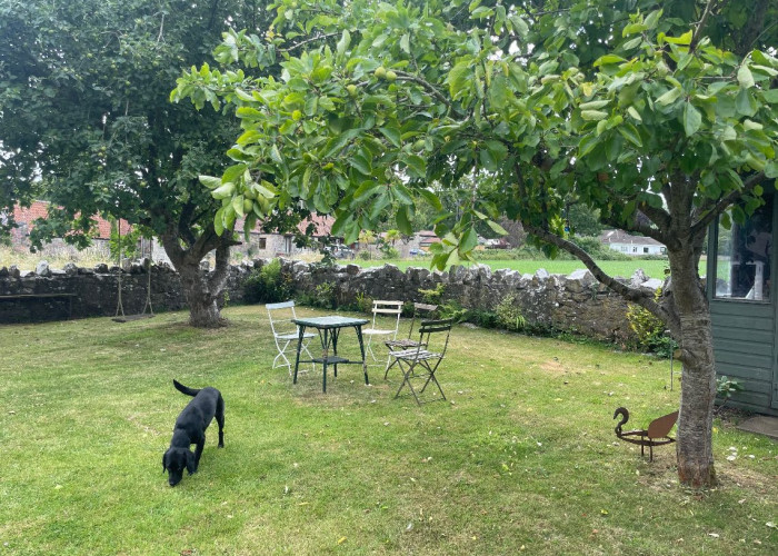 57. Garden (Rear, Large)