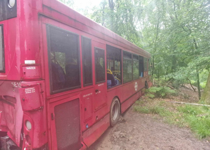11. Bus / Coach