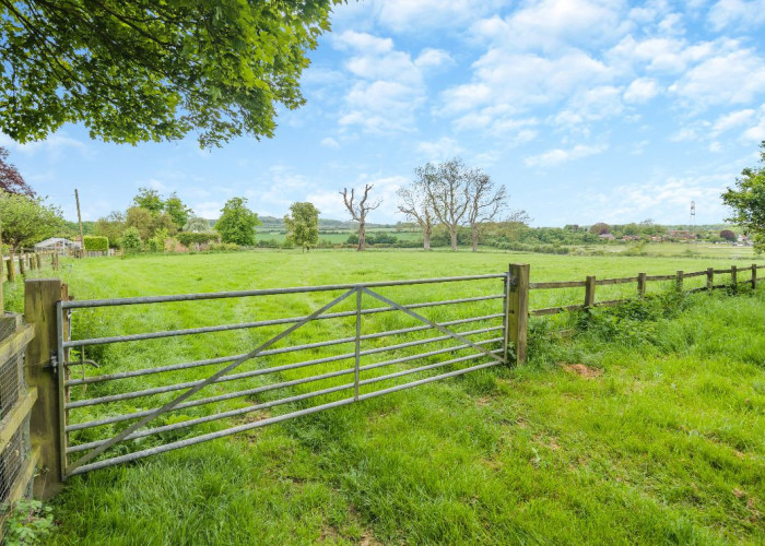 62. Fields