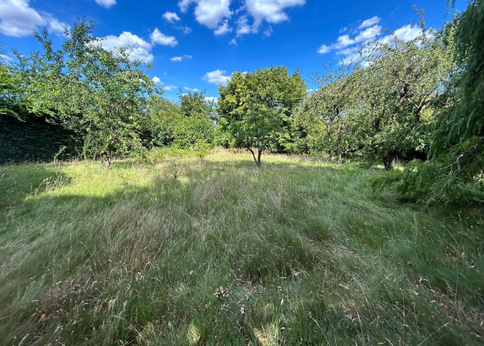 49. Garden (Rear, Large)
