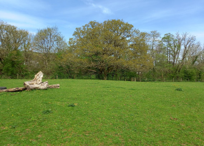 28. Fields