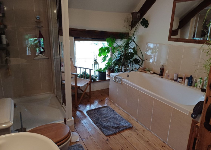 14. Bathroom (Shower and bath)