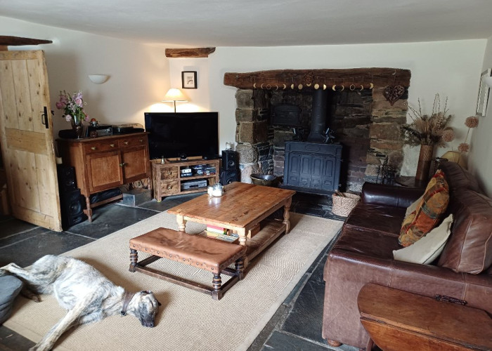 10. Livingroom, Fireplace