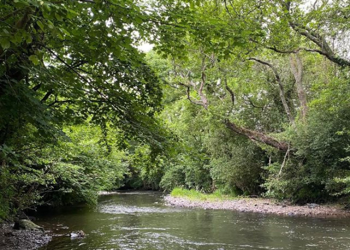25. River / Stream