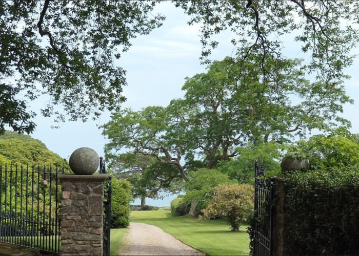 44. Driveway, Gate