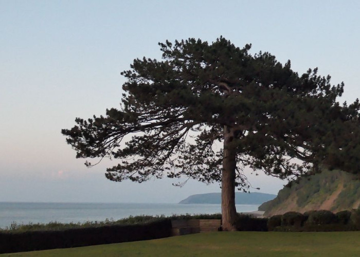 62. Sea / Beach View