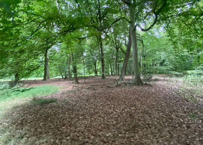 1. 
