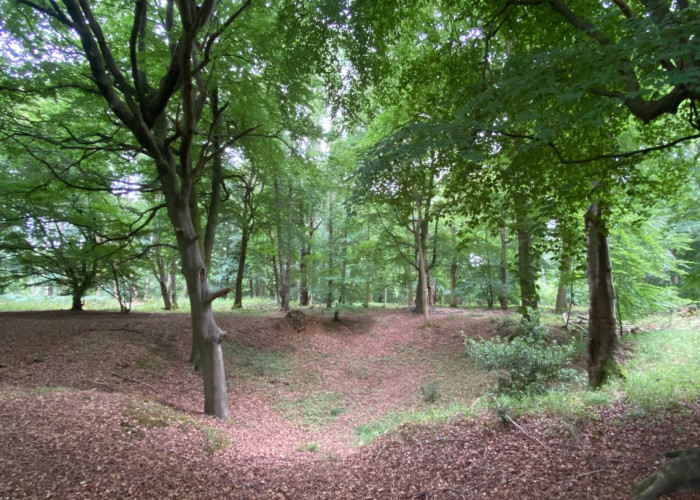 Extensive Farmland Of Over 600 Acres For Filming