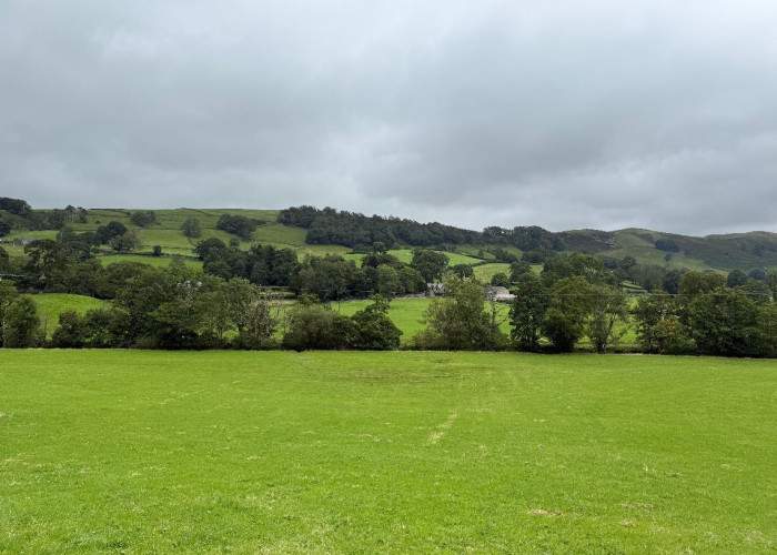 36. Fields, Garden (Rear, Large)