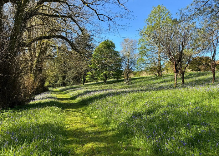 25. Fields