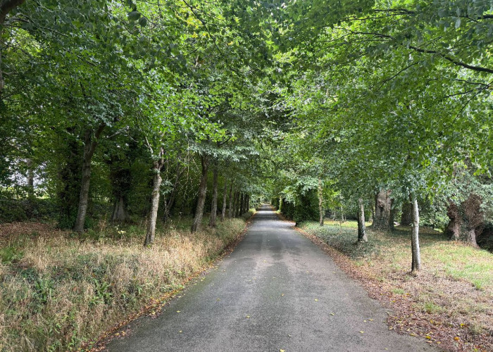 1. Driveway