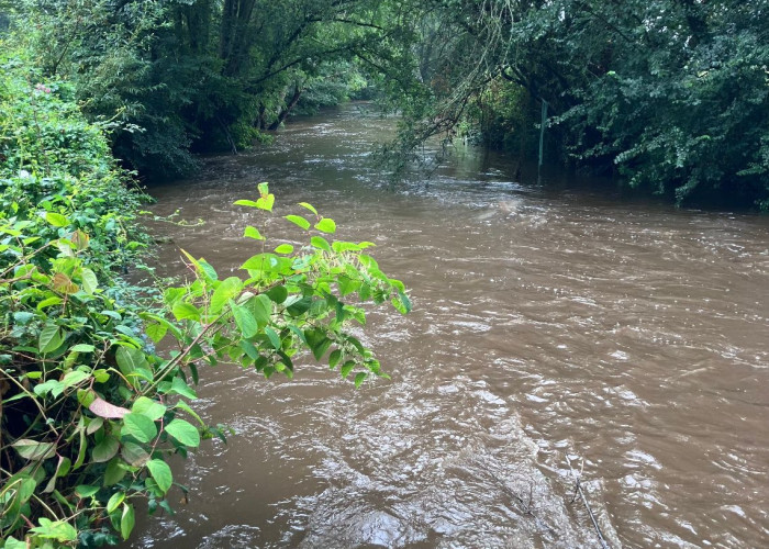 24. River / Stream