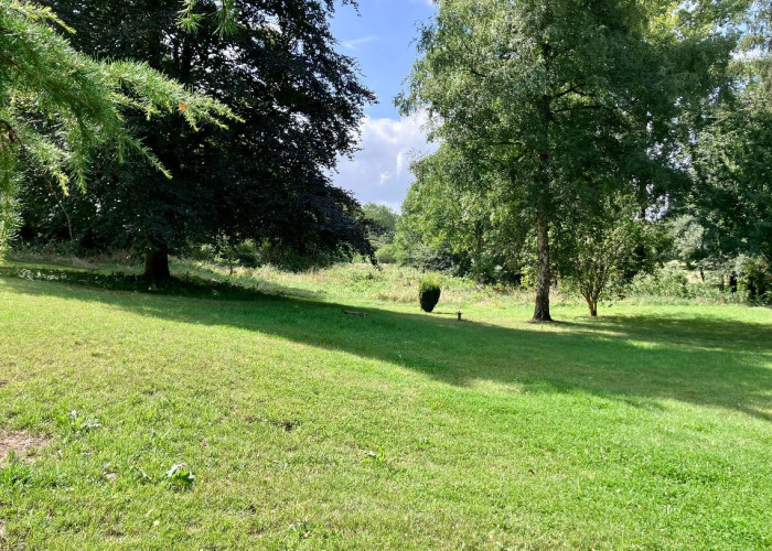 21. Fields, Garden (Rear, Large)
