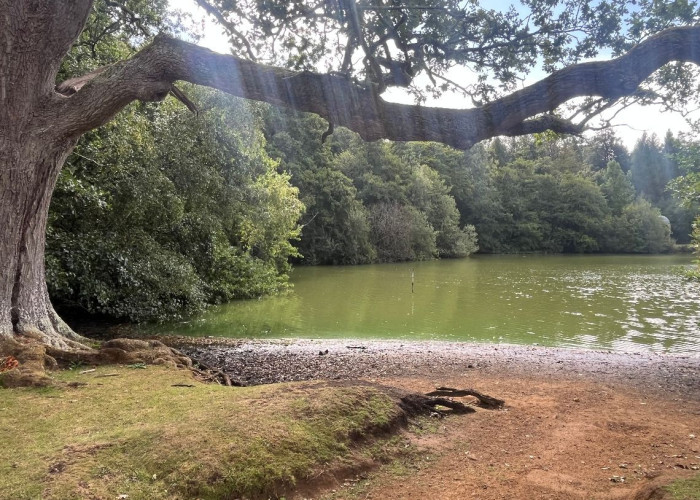 Private Pond For Filming