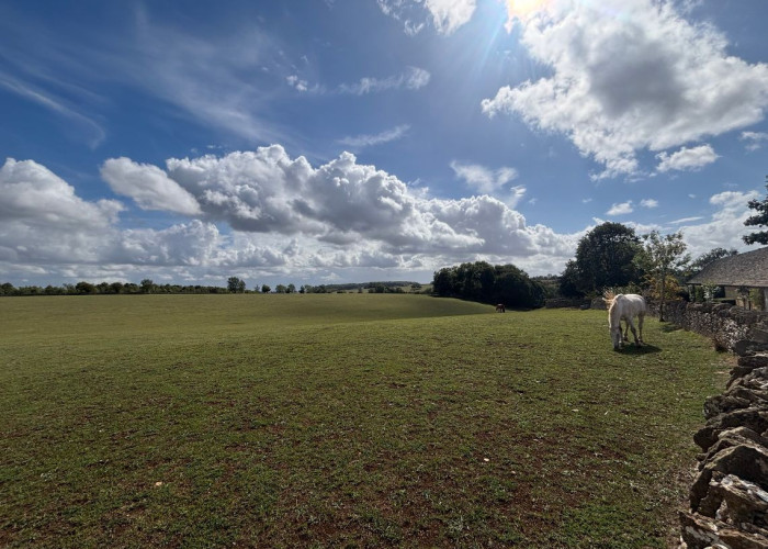 21. Fields