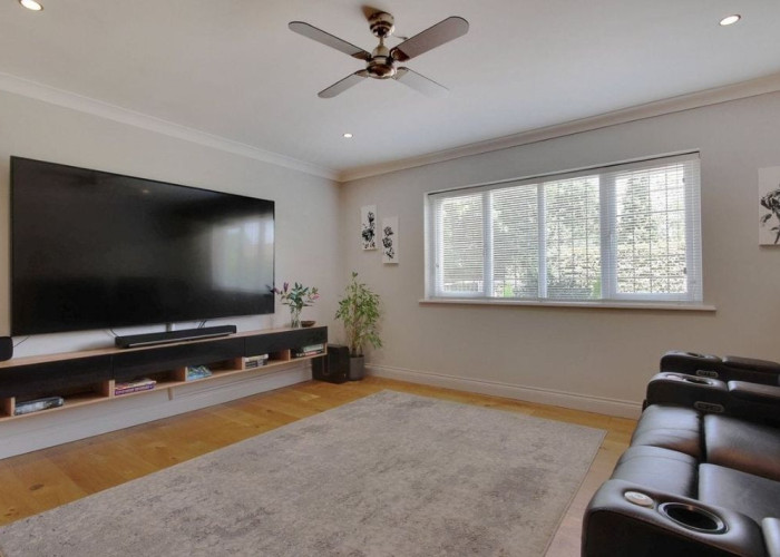 7. Cinema (Home)