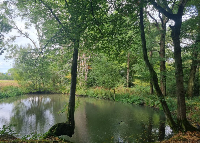 19. Lake / Pond