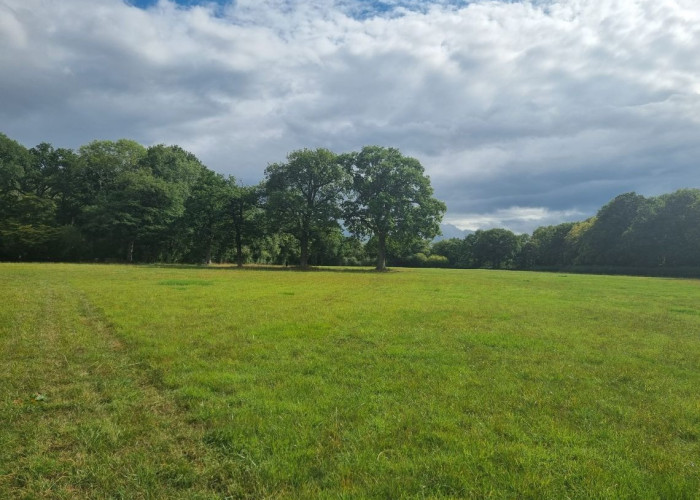 23. Fields