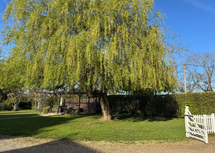 30. Garden (Rear, Large)