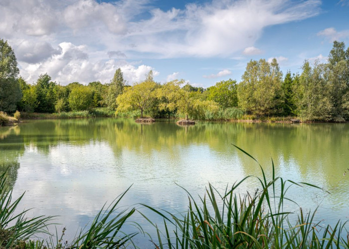 27. Lake / Pond