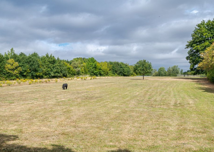 29. Fields