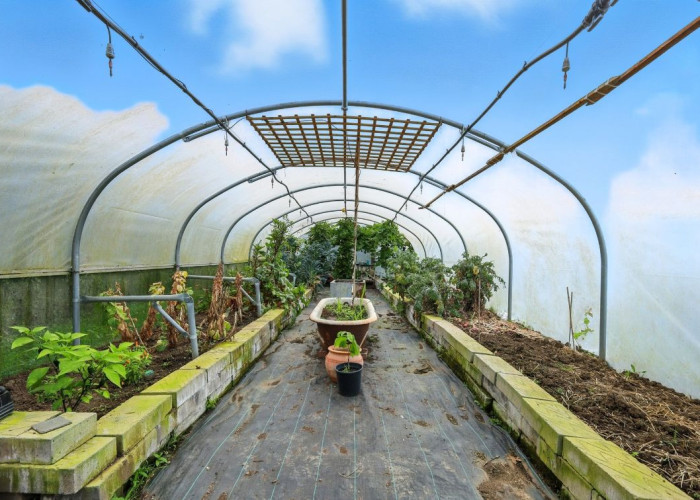 55. Greenhouse