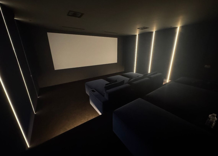 13. Cinema (Home)