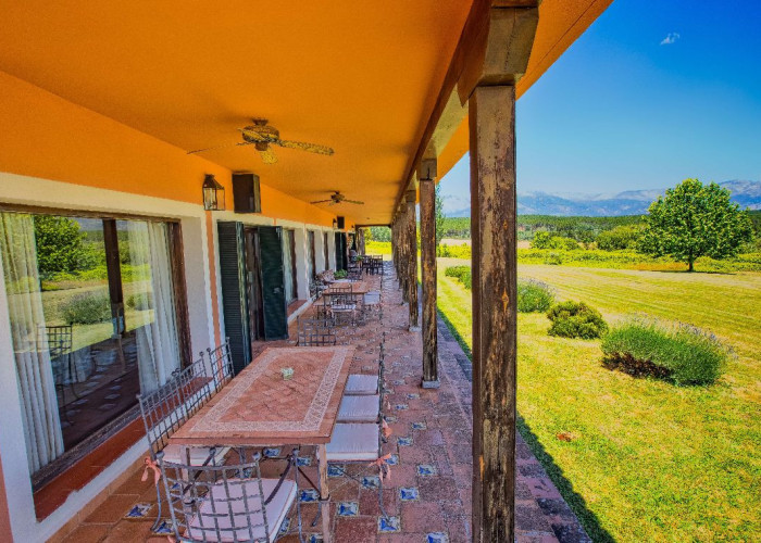 22. Patio / Veranda