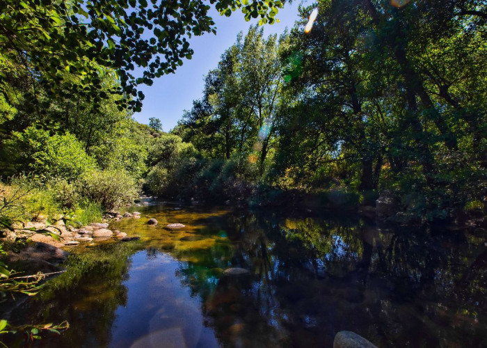 29. River / Stream