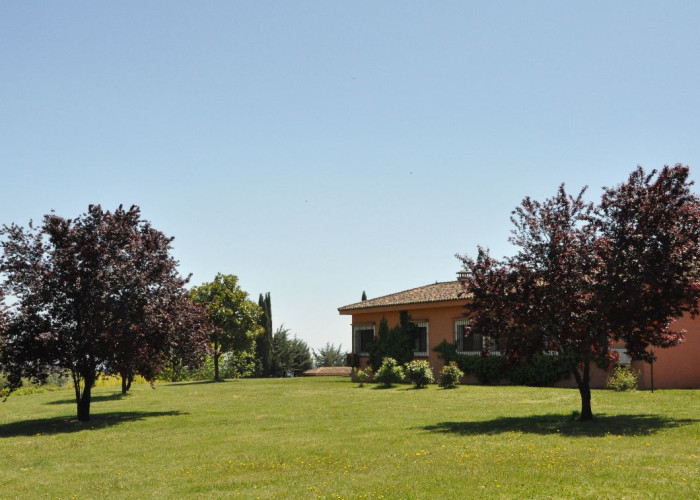 19. Garden (Rear, Large)