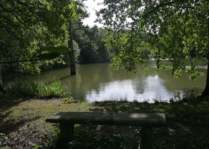 20. Lake / Pond