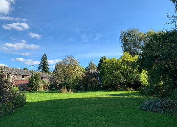 47. Garden (Rear, Large)